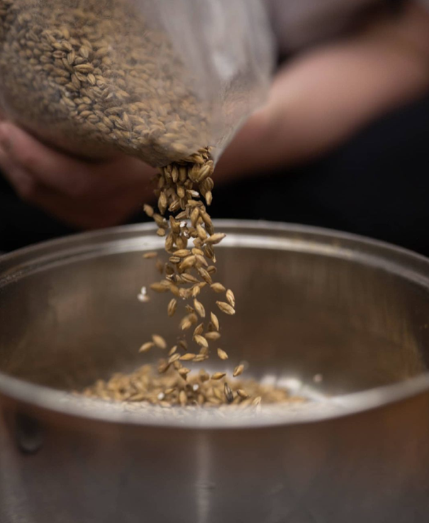 versement grains versement grains