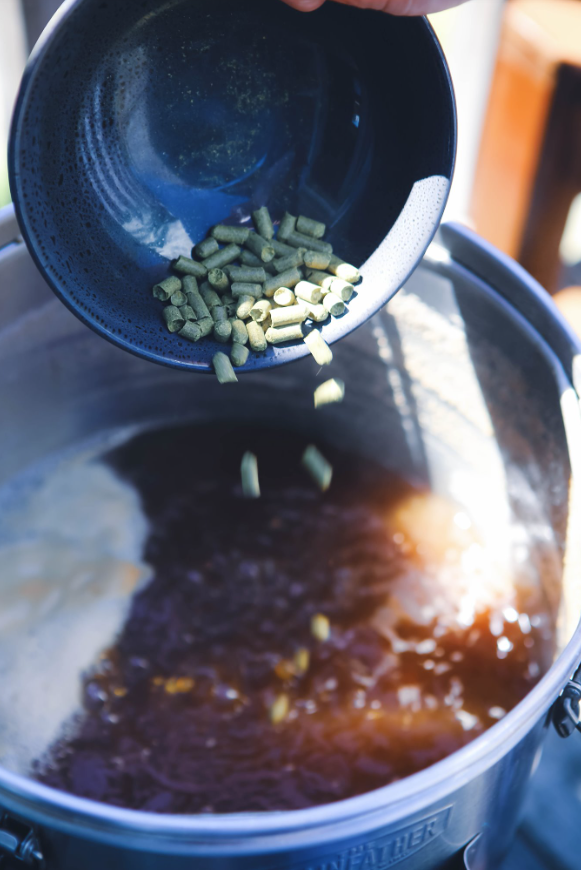 versement houblon versement houblon